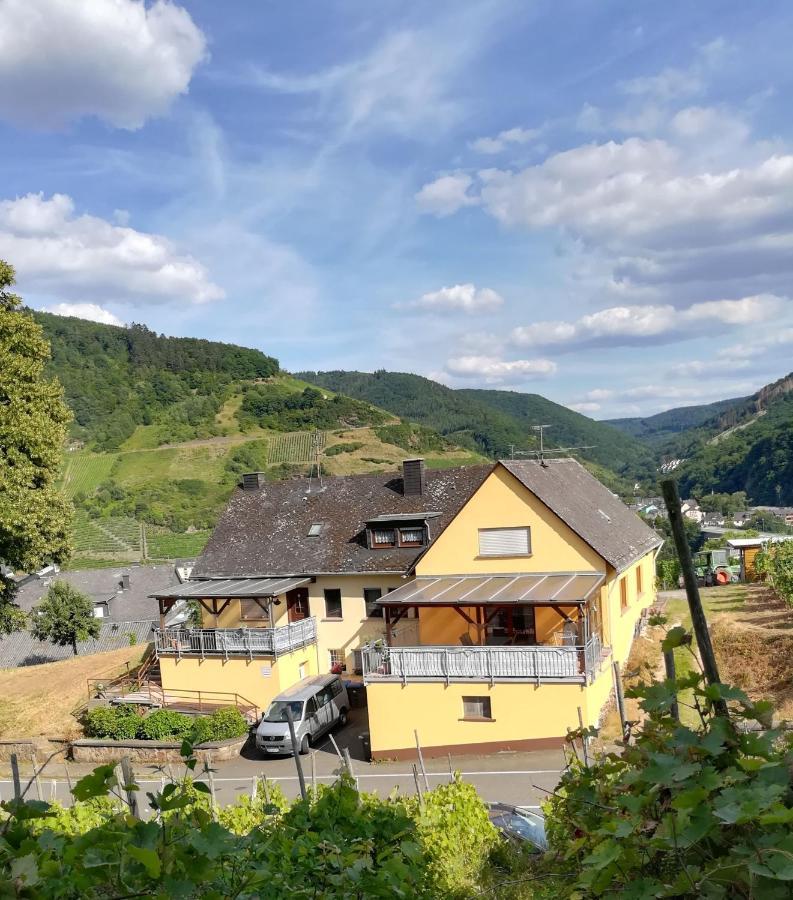 Die Ferienwohnung Lindenhof Zell an der Mosel Exteriér fotografie