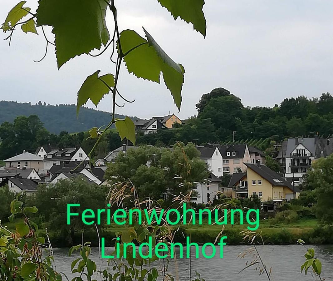 Die Ferienwohnung Lindenhof Zell an der Mosel Exteriér fotografie