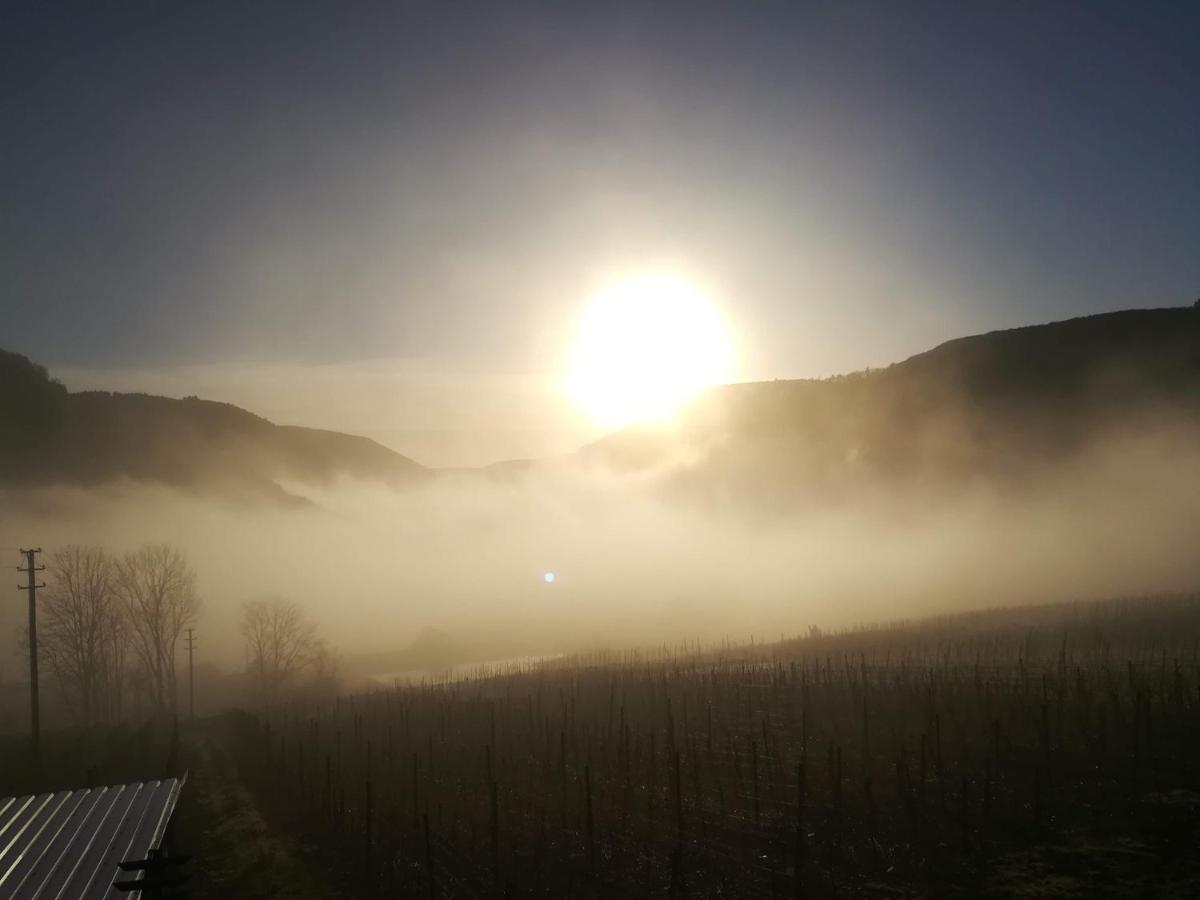 Die Ferienwohnung Lindenhof Zell an der Mosel Exteriér fotografie